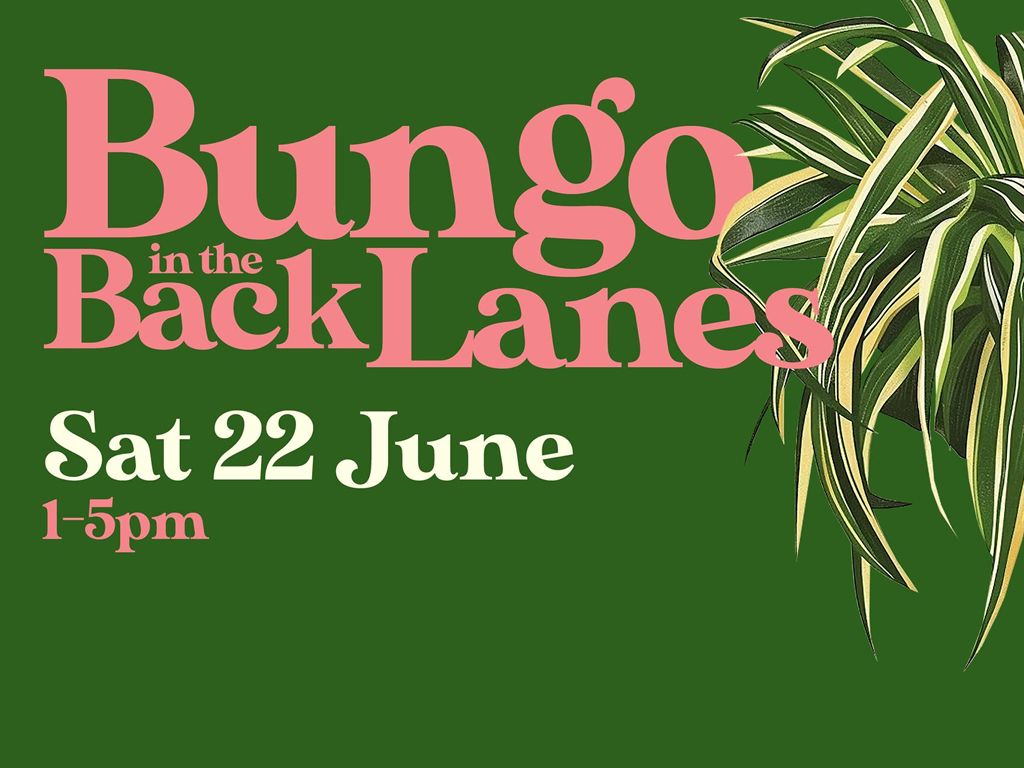 Bungo in the Back Lanes