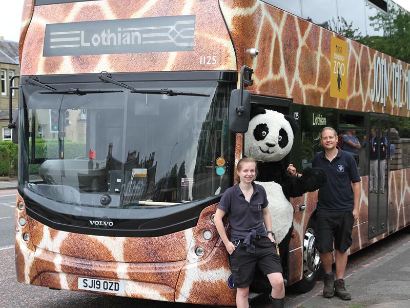 Giraffe print bus hits the streets of Edinburgh