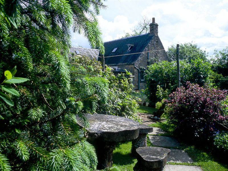 Scotland’s Gardens Scheme Open Garden: Dippoolbank Cottage