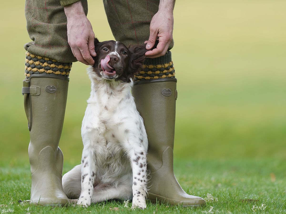 The GWCT Scottish Game Fair returns better than ever for 2026