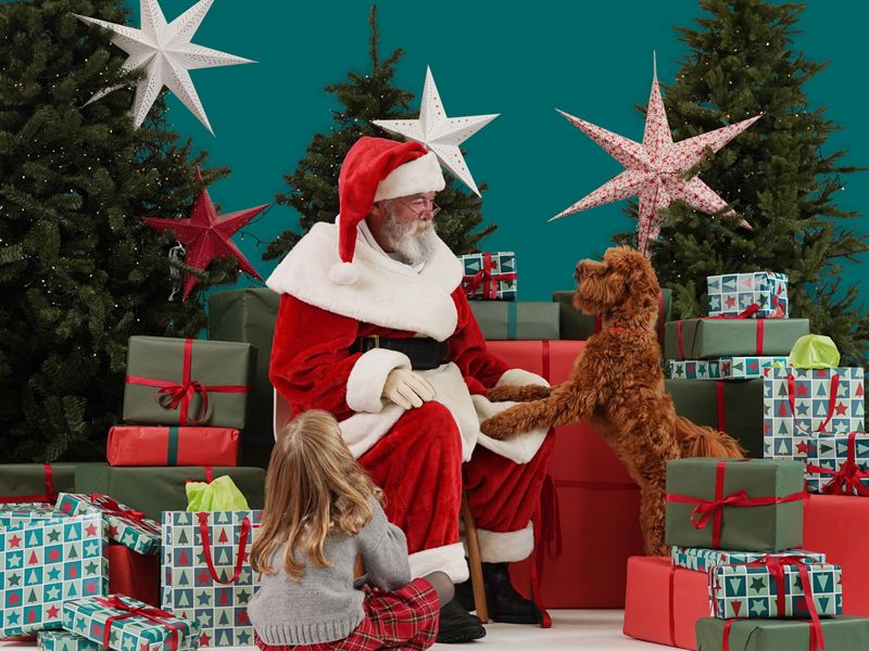 Dobbies christmas trees hotsell