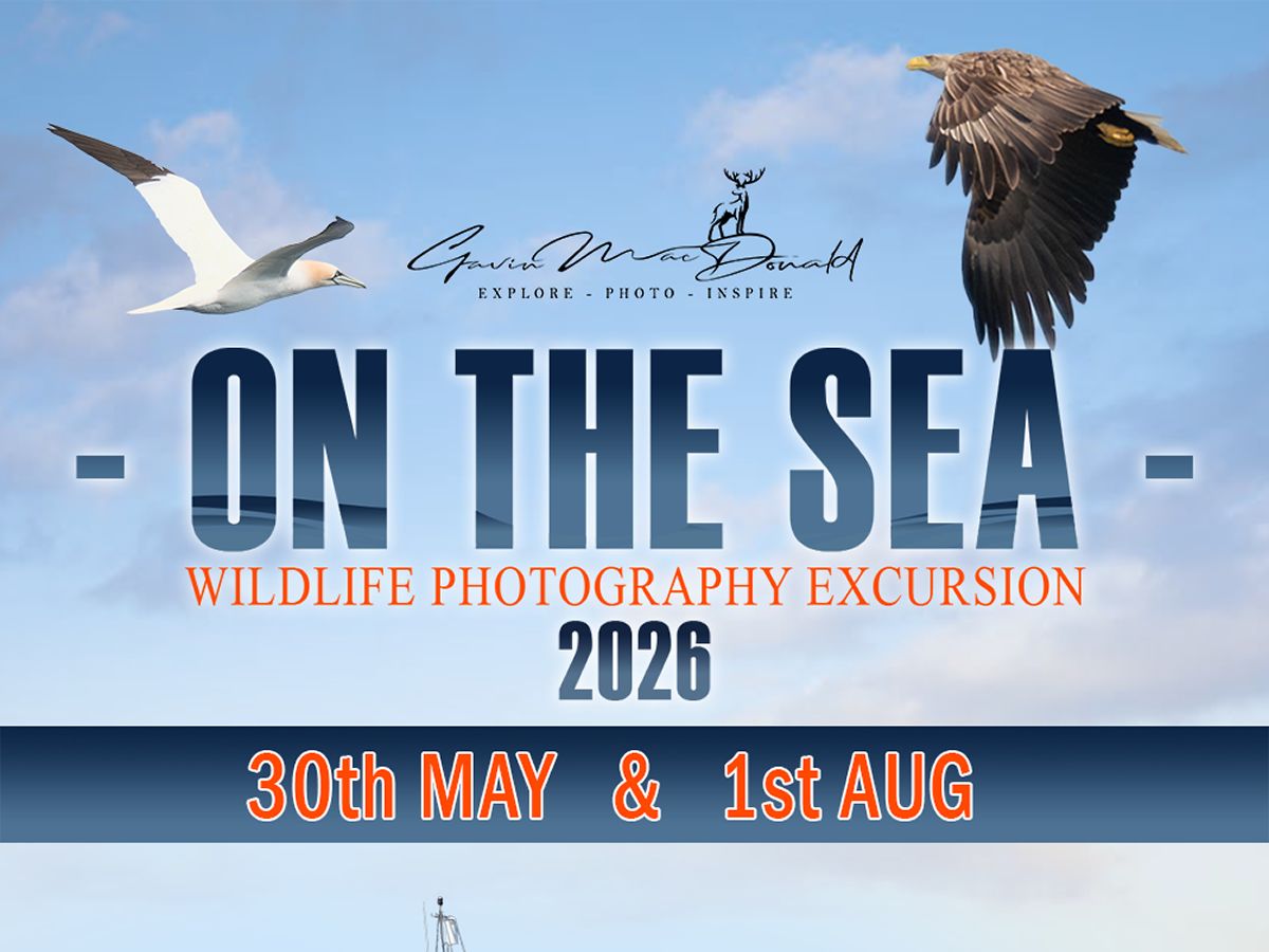 On The Sea - Photography Excursion