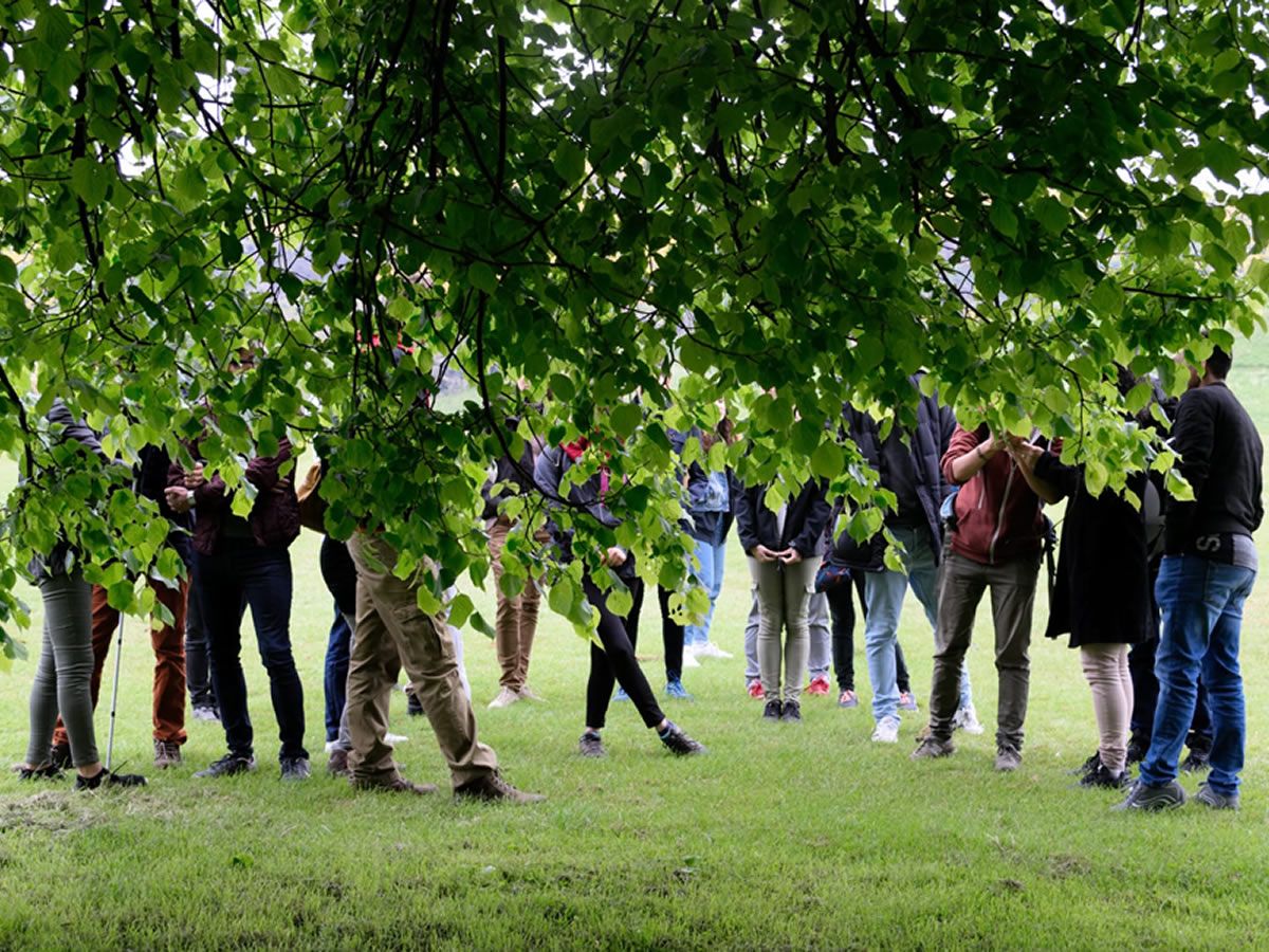 Edible & Medicinal Weeds Walks: Edinburgh Climate Festival