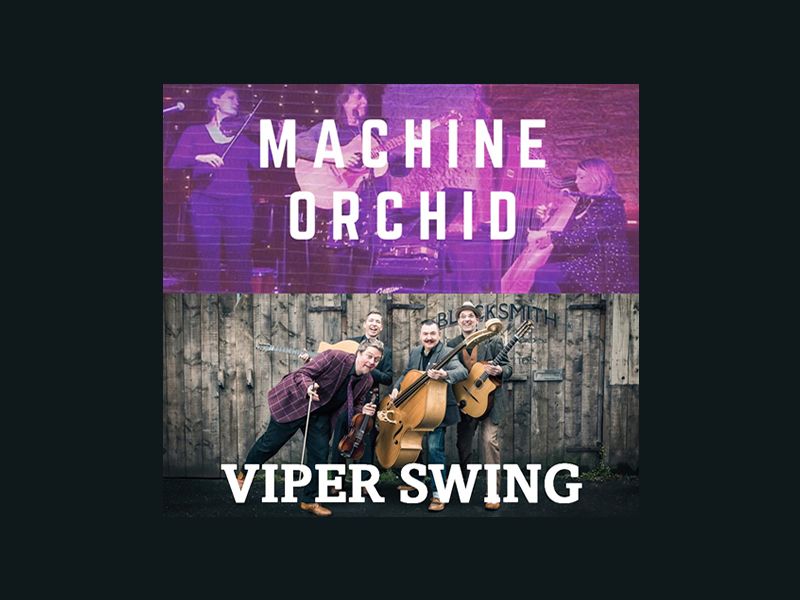 Grassmarket: Midsummer Night’s Musical Dream: Live Music from Viper Swing & Machine Orchid