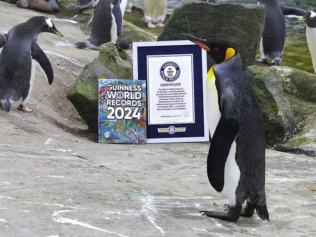 Edinburgh penguin has Guinness World Records title upgraded after historic promotion