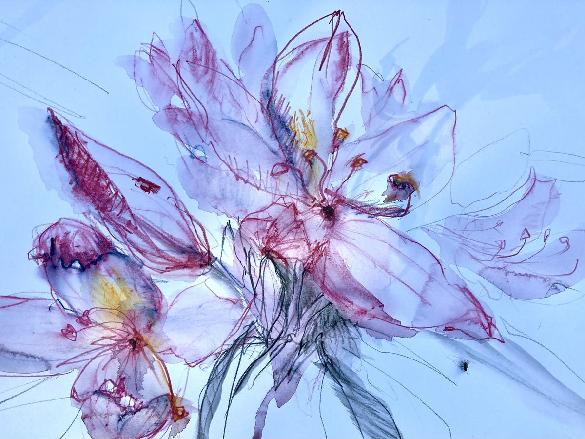 Flower Power Drawing Workshop