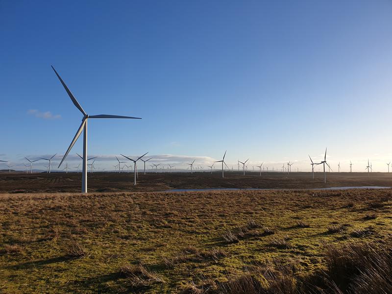 Whitelee Walkers Health Walk