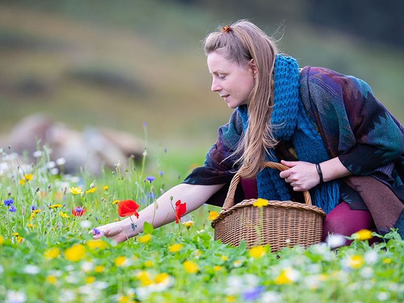 Foraging Across The Seasons (Autumn)
