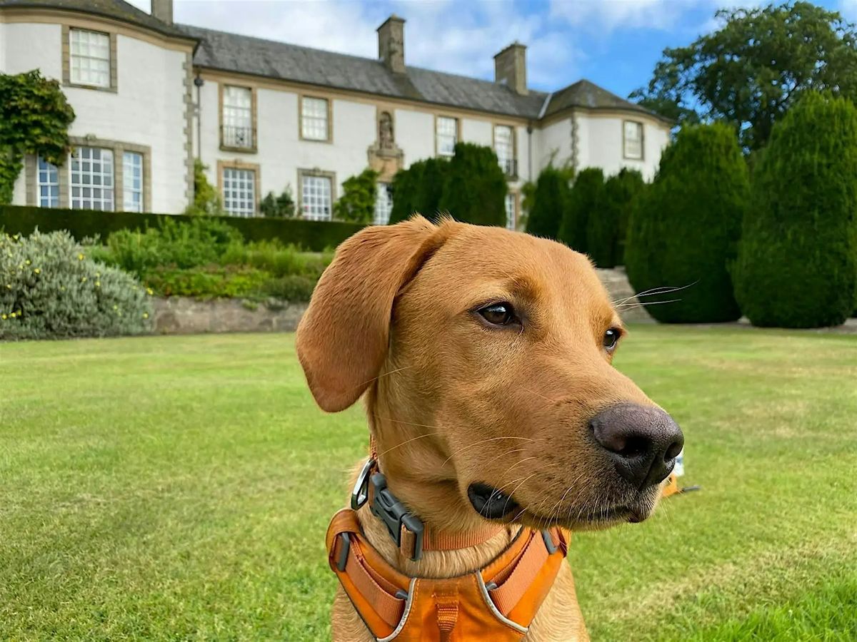 Hill of Tarvit Dog Show