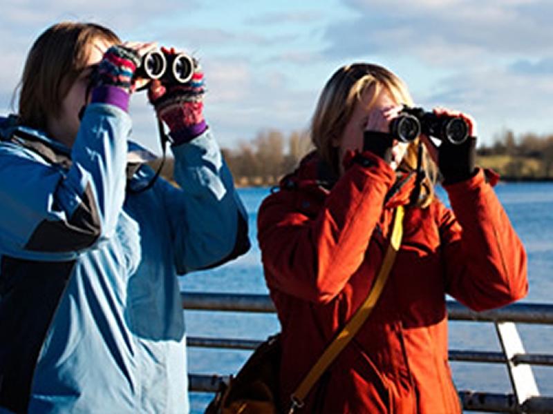 Rspb Black Devon Wetlands