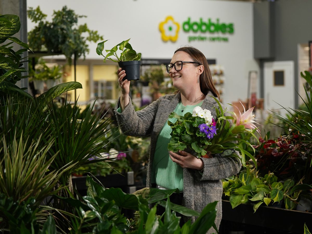 Garden Centre invites budding indoor gardeners to its stores