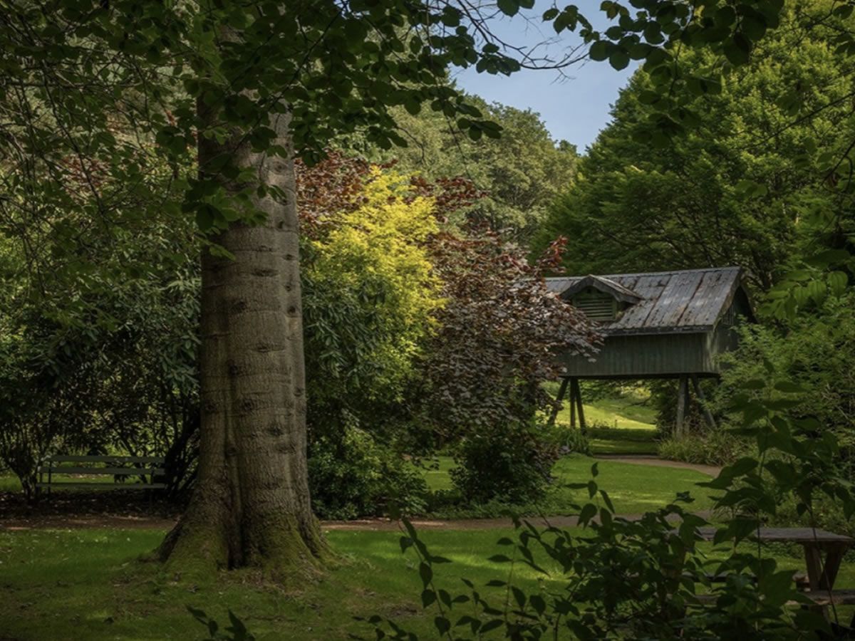 Scotland’s Gardens Scheme Open Garden: Silverburn Walled Garden