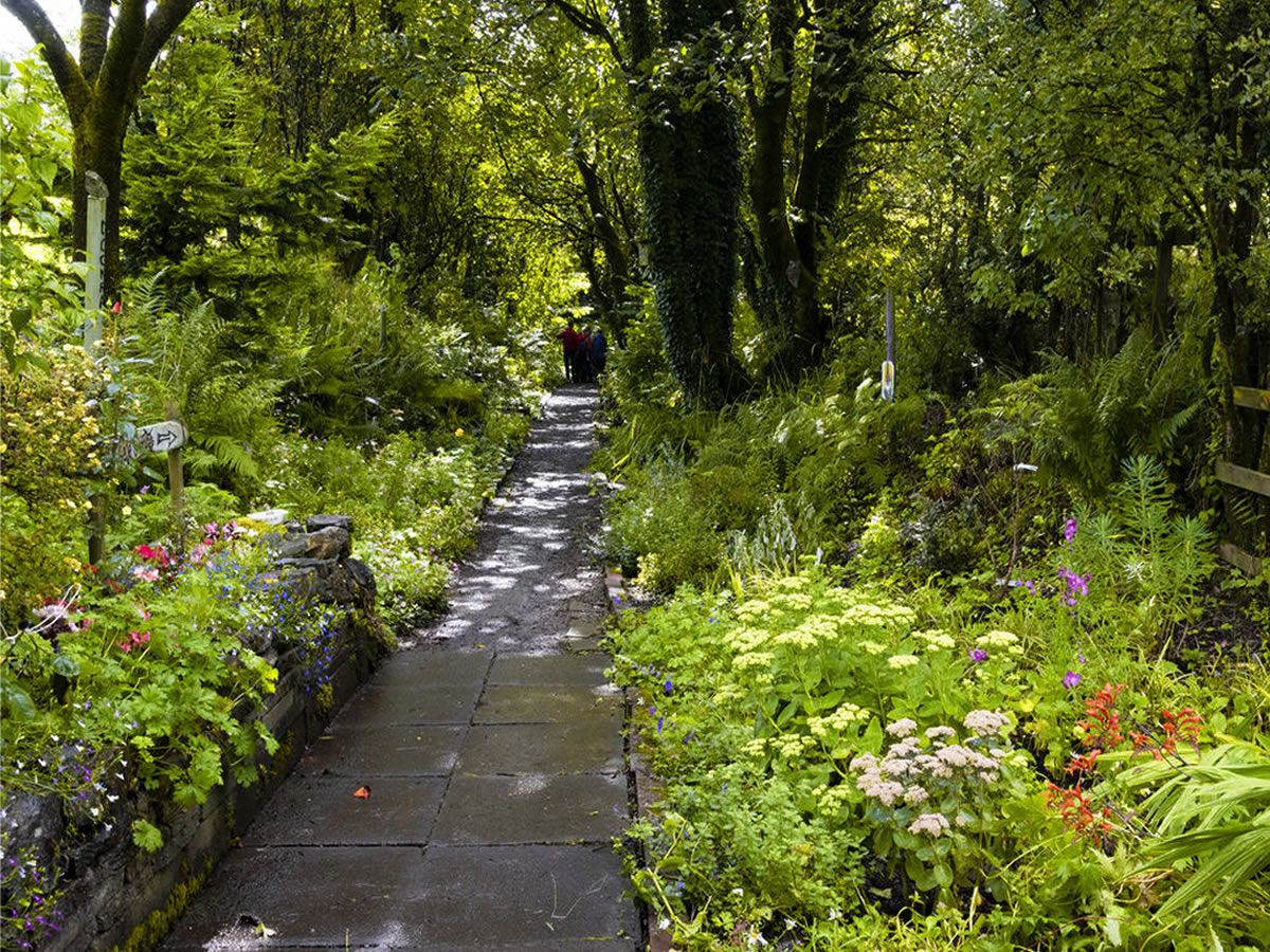 Scotland’s Gardens Scheme Open Garden: Barrmill Community Garden