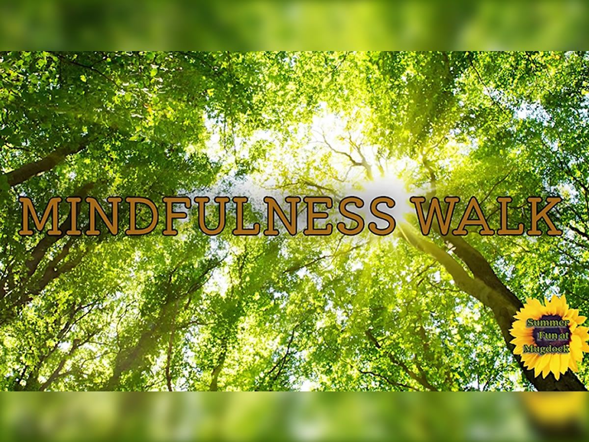 Mindfulness Walk