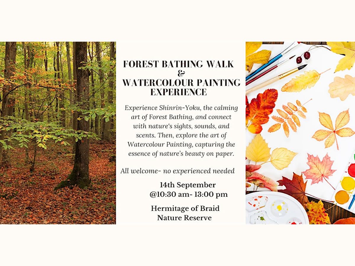 Autumn Forest Bathing Walk & Watercolour Painting Experience