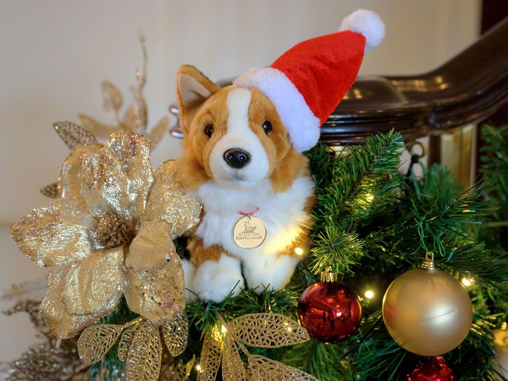 Christmas Weekend at The Royal Yacht Britannia