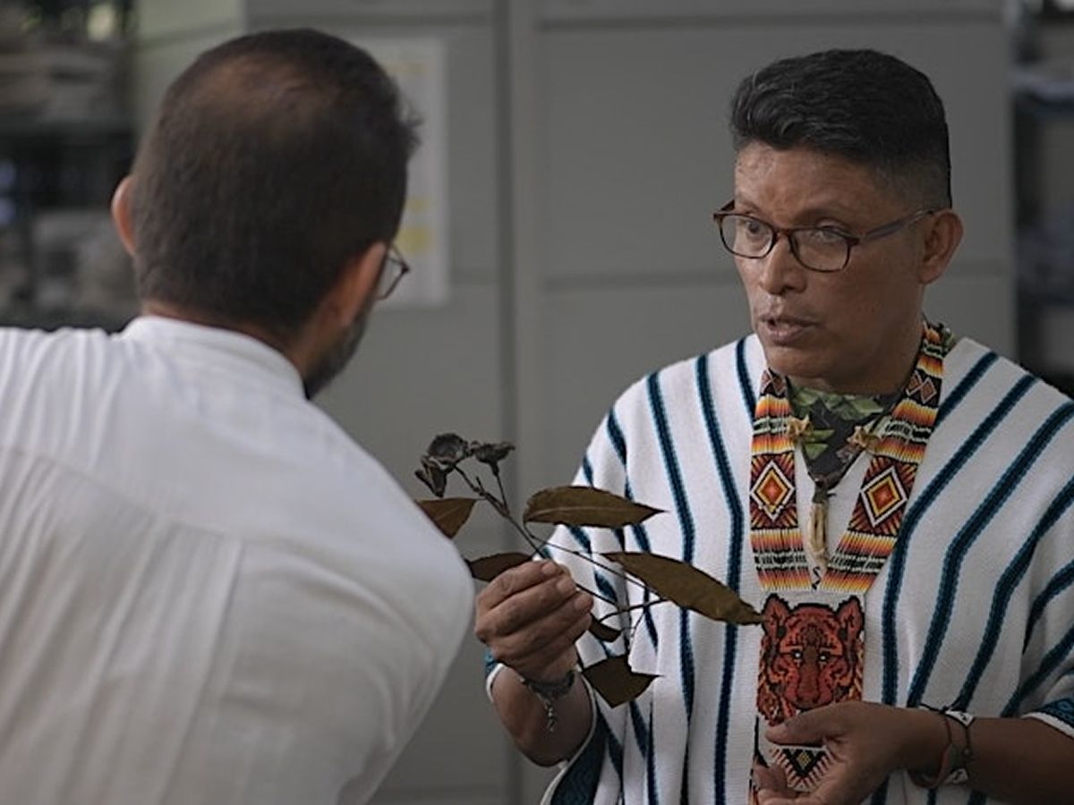 Indexed Beings Film Screening and Discussion