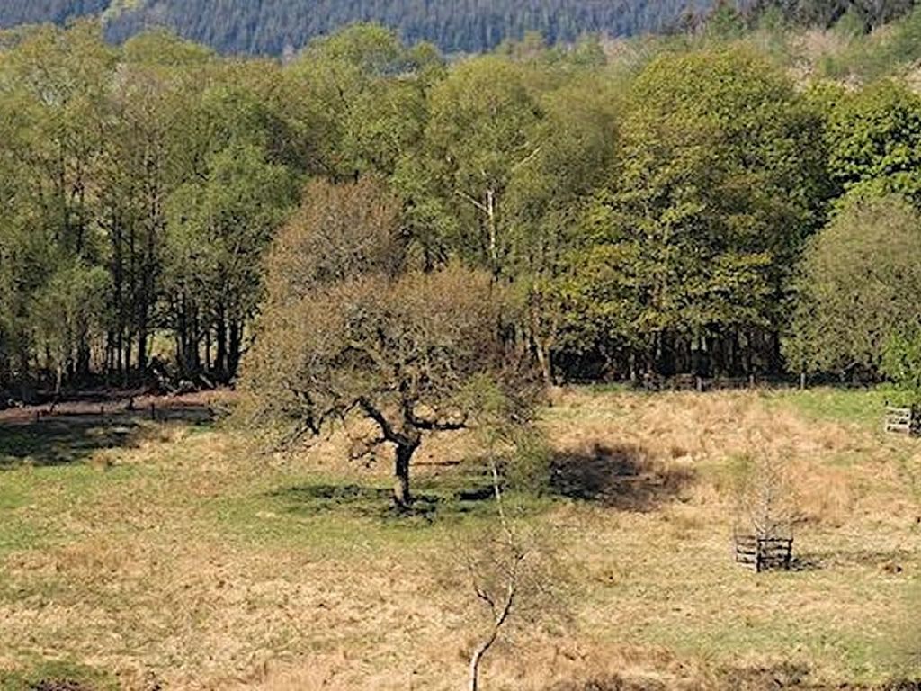 Wildlife Weans Mugdock: Den Building (1 - 6 years)