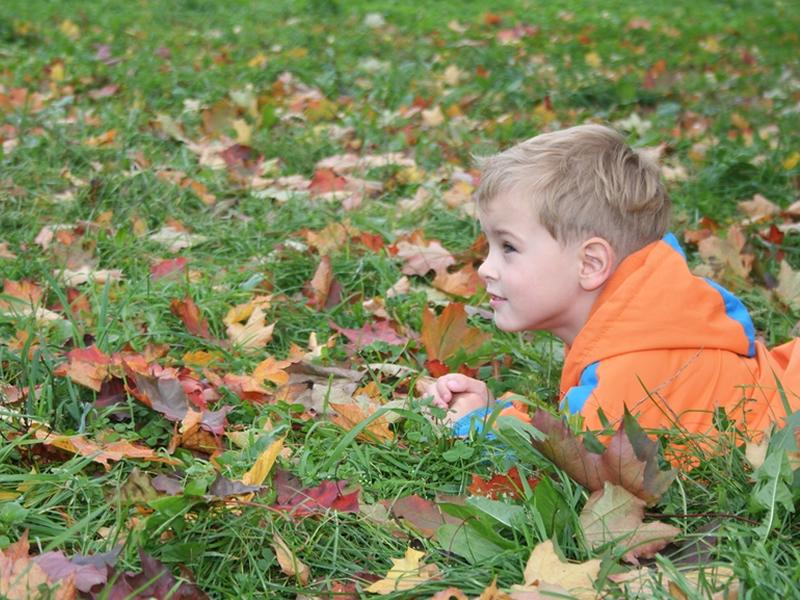 Autumn Explorers