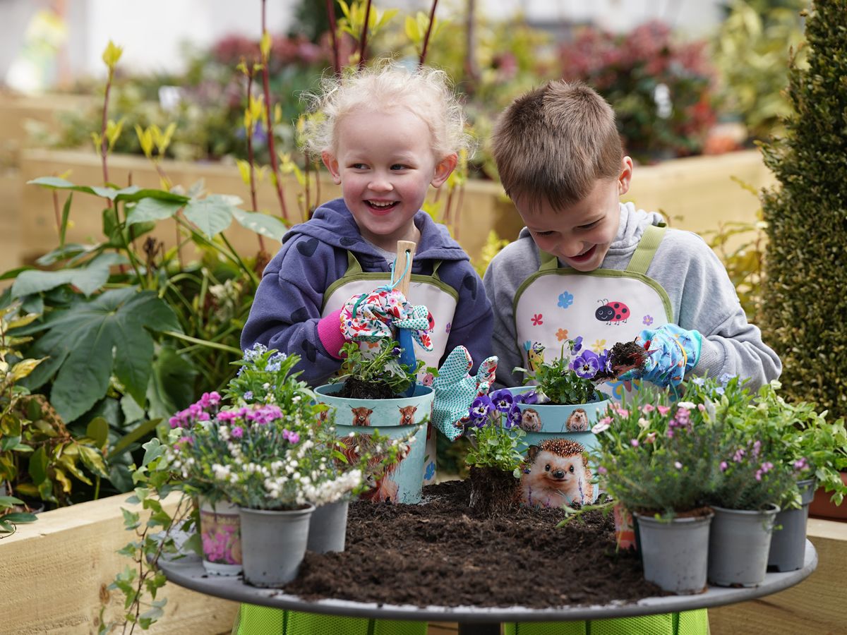 Free September gardening workshops at Dobbies