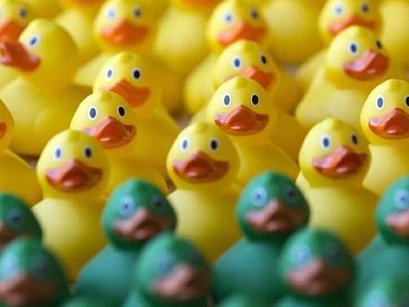 Easter Duck Race