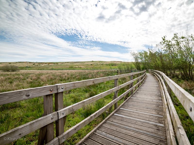 Cathkin Braes Country Park