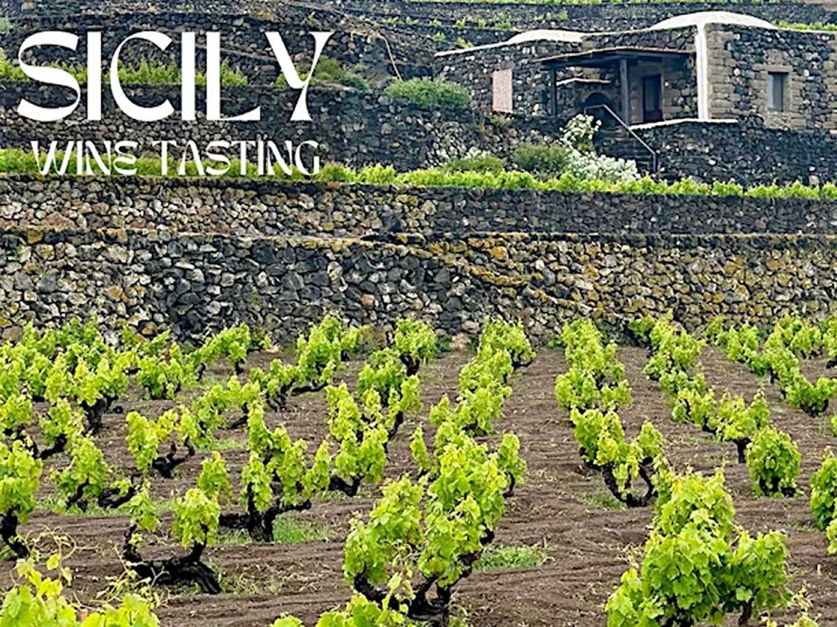 Sicily Wine Tasting