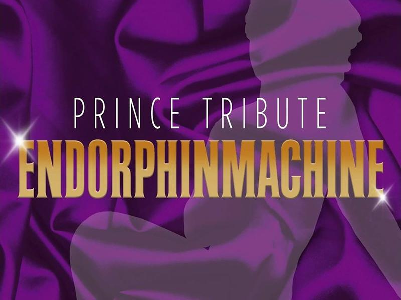 Prince’s Purple Disco