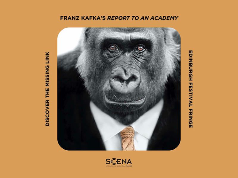 Report to an Academy