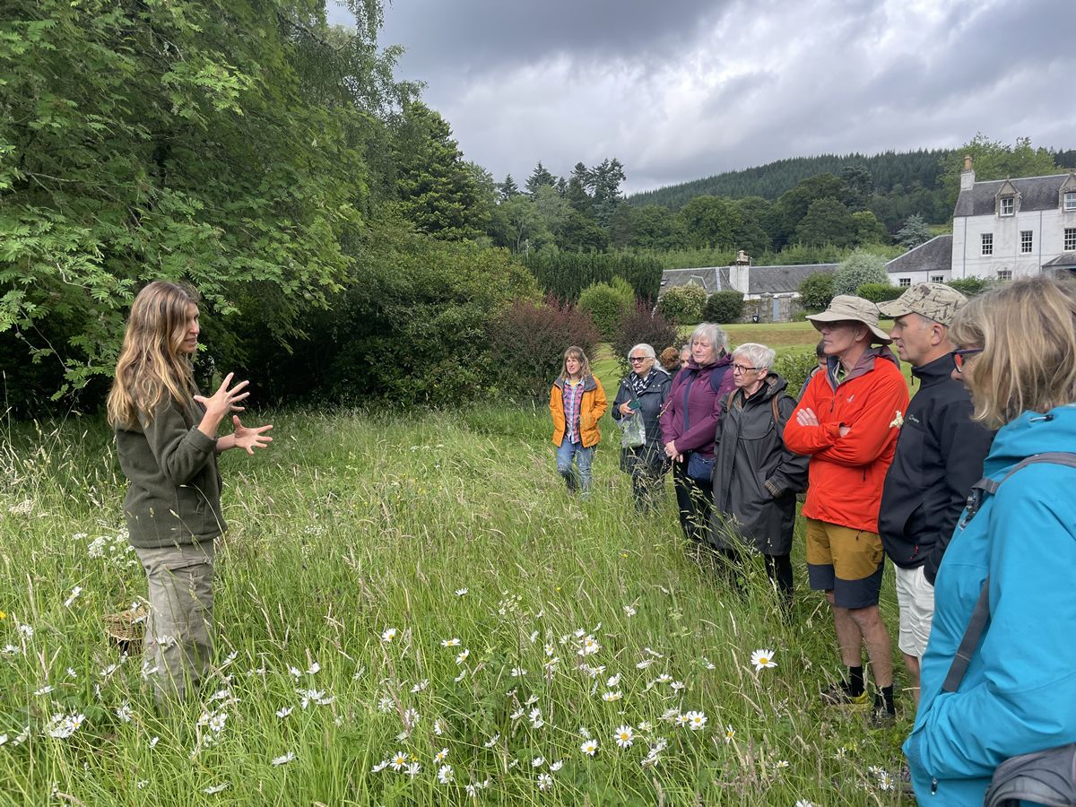 Early Spring Foraging - Arthur’s Seat