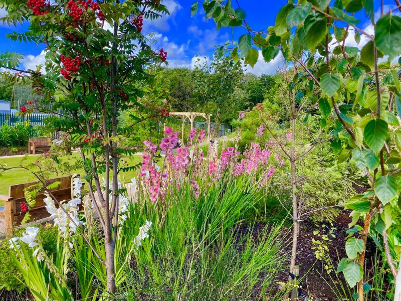 Scotland’s Gardens Scheme Open Garden: Heart of Scotstoun Community Gardens