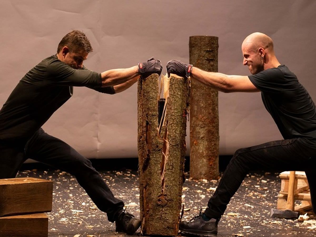 Manipulate Festival: The Wood Paths