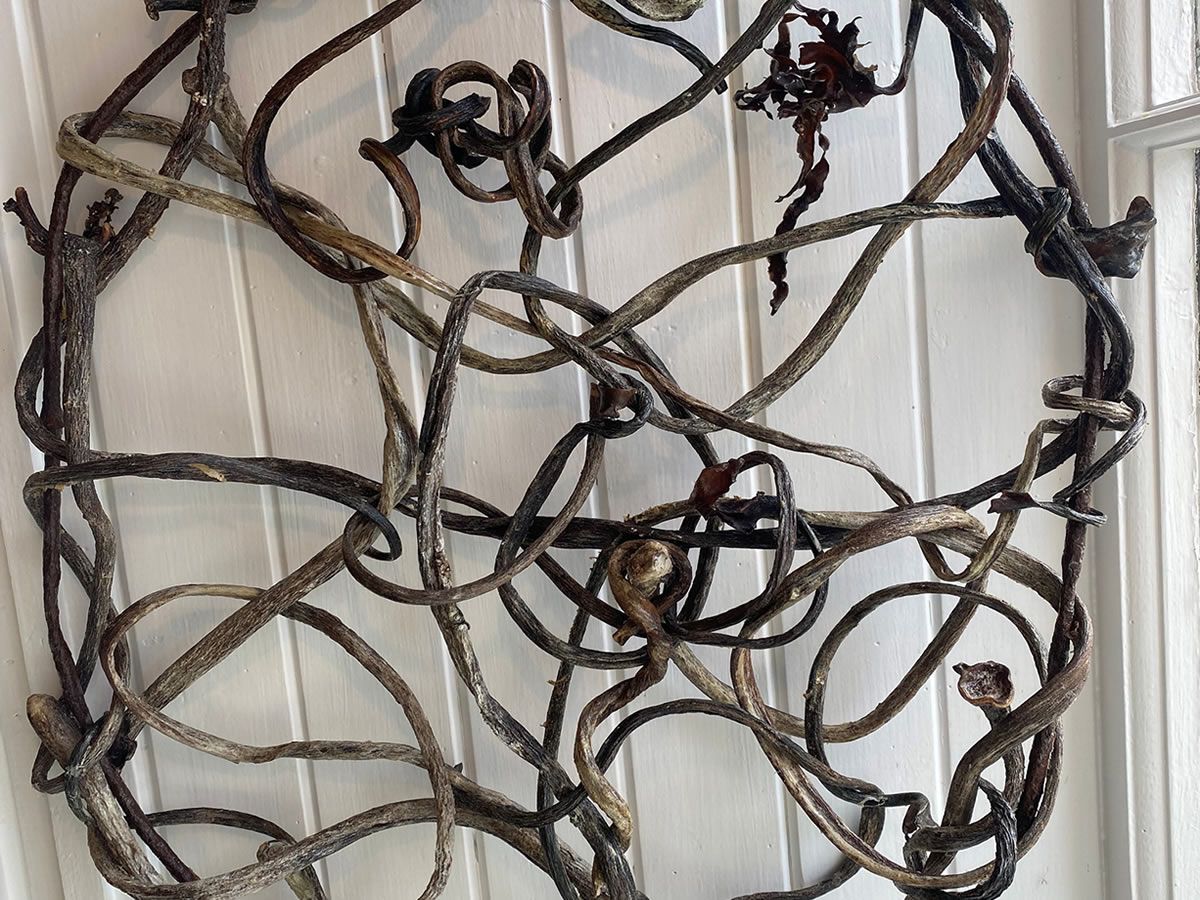 Rising Tide : Seaweed Art