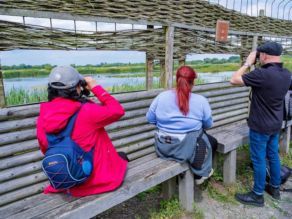 Birdwatching For Beginners