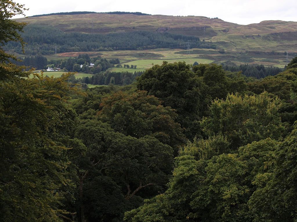 Guided Walk Craigton & Back, Milngavie, Milngavie What's On Glasgow