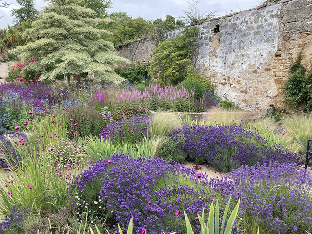 Botany for Climate Friendly Gardens