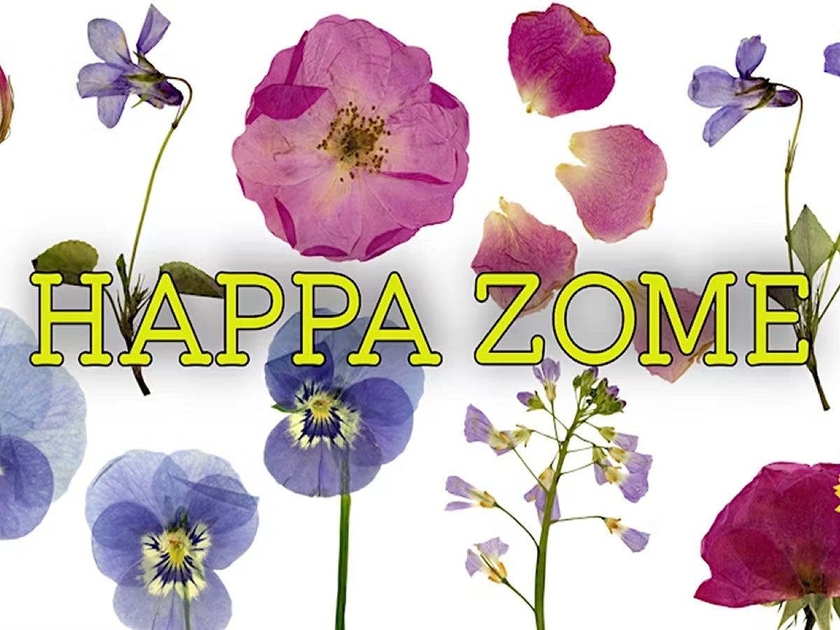 Hapa Zome