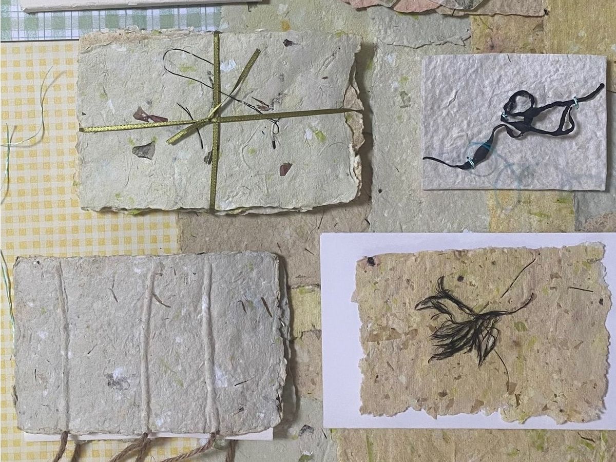 Paper Making with Seaweed Workshop