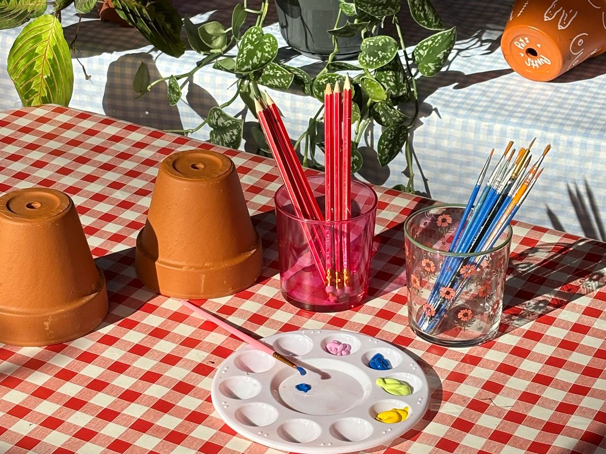 Plant Pot Painting + Plant Included!
