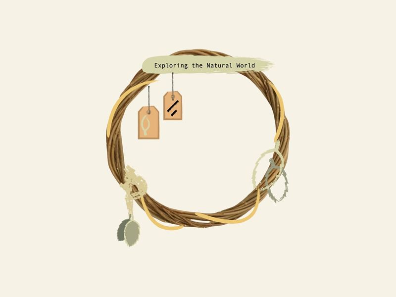 Exploring the Natural World: Willow Wreath Workshop