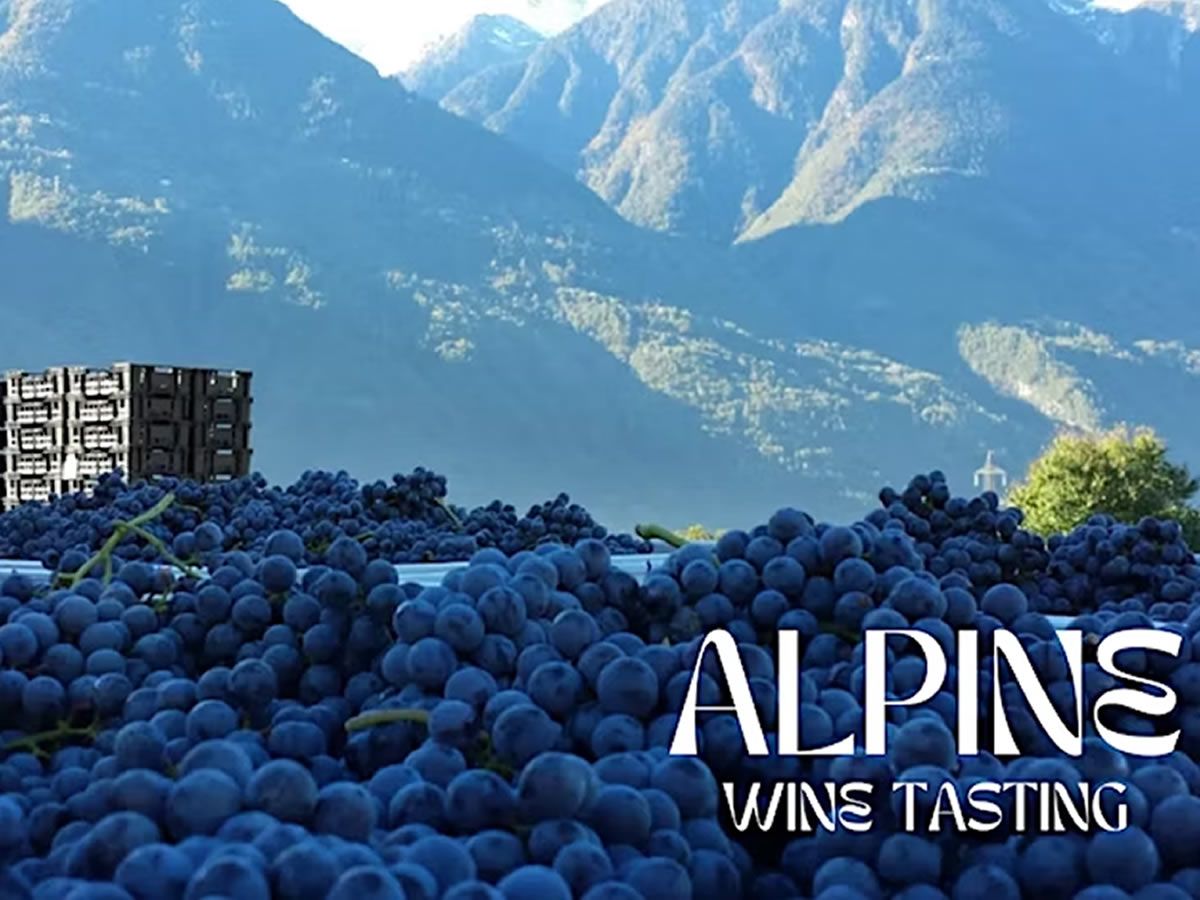 Alpine Wine Tasting
