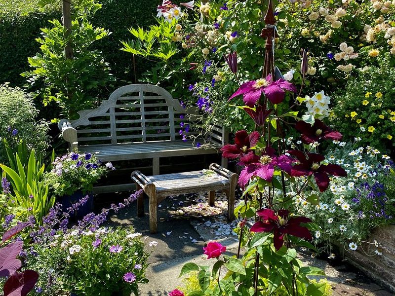 Scotland’s Gardens Scheme Open Garden: 5 Greenbank Crescent