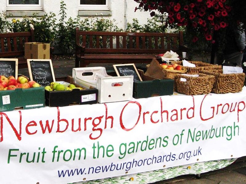 Newburgh Orchard Group and its Market