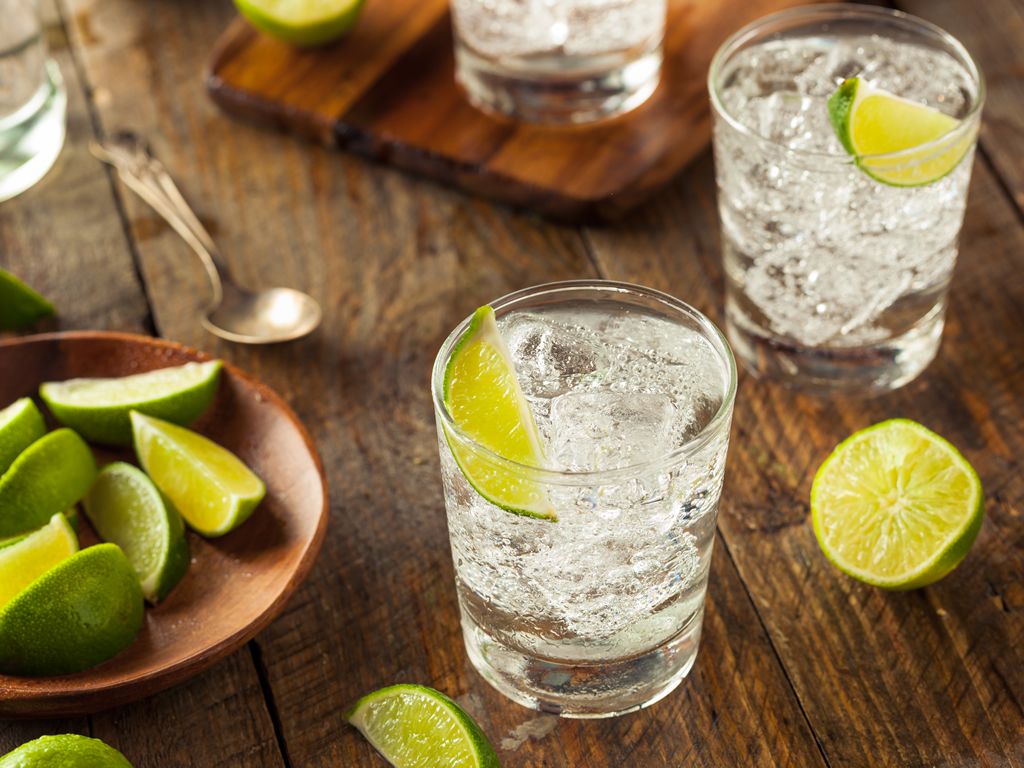 Gin Tasting & Cocktail Class