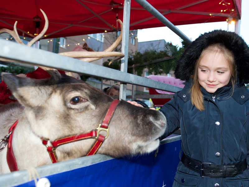 Johnstone lights up for Christmas