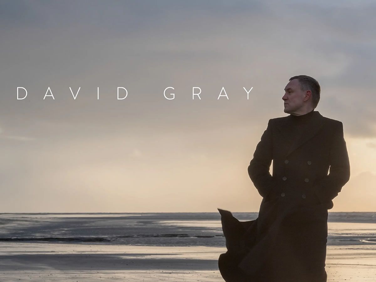 David Gray