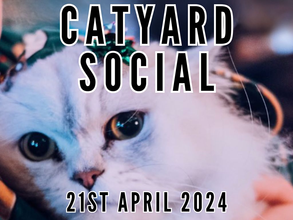 The Catyard Social