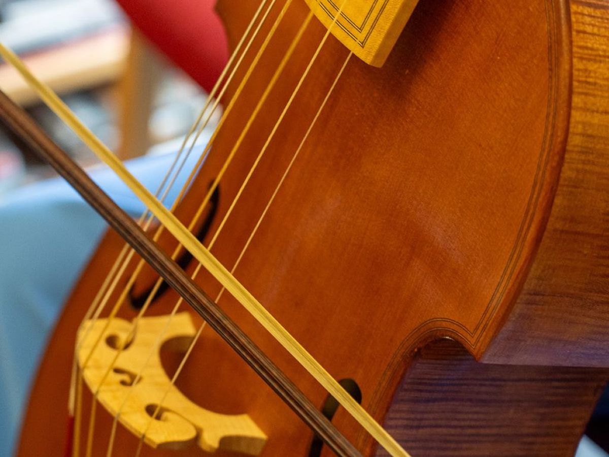 Baroque and Renaissance Instrument Discovery Day
