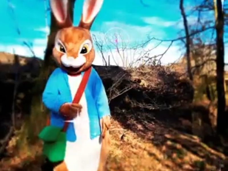 Peter Rabbit Easter Storytelling Session