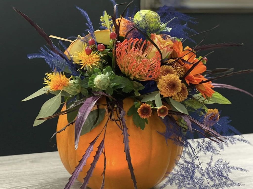 Pumpkin Workshop